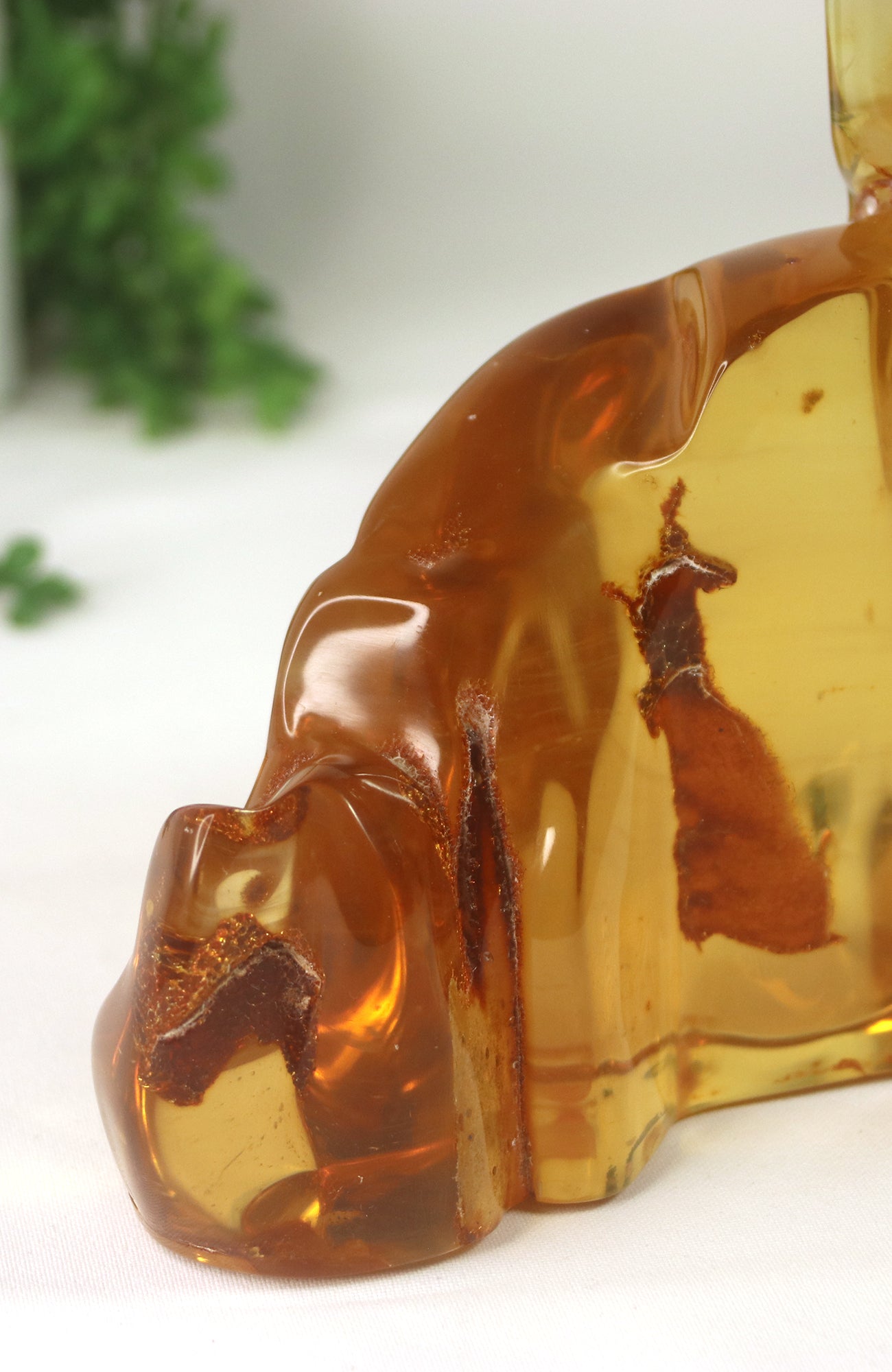 Amber Piece with insects